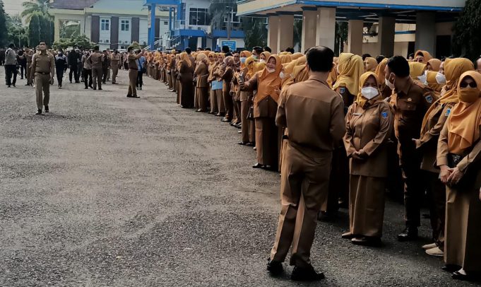 Bidan di Lahat Banyak Menjanda, Ternyata Ini Penyebabnya