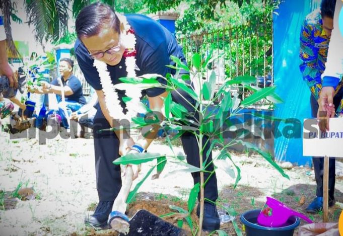 Tanam 800 Bibit Tabebuya