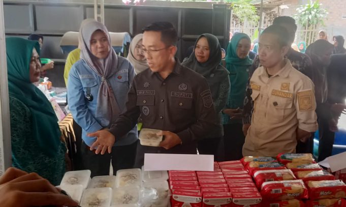 Intip Pelayanan Posyandu Desa Pandan Arang Ulu, Ini yang dilakukan Pj Bupati Lahat