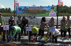 Lakukan Gerakan Tanam Cabai, Imam Pasli Sebut, Langkah Tekan Inflansi di Lahat