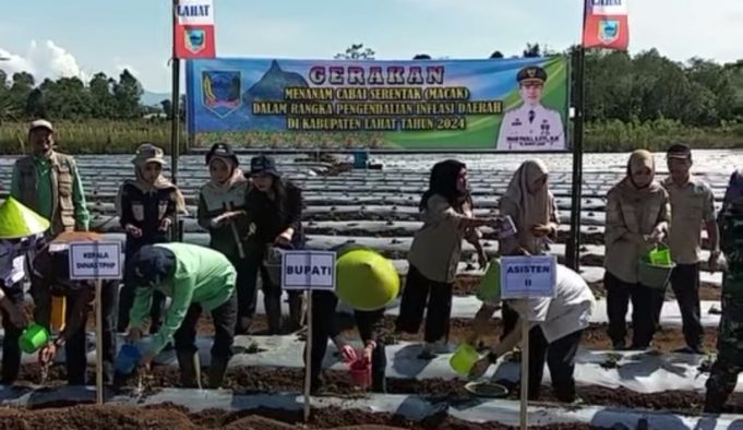 Lakukan Gerakan Tanam Cabai, Imam Pasli Sebut, Langkah Tekan Inflansi di Lahat