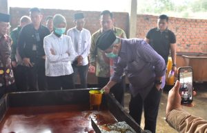 Dulu Dianggap Limbah, Sekarang Brondolan Sawit Sudah Bernilai Jual