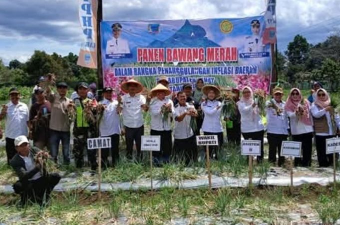 Panen Perdana Bawang Merah, Wabup Lahat : Kejar Swasembada Pangan