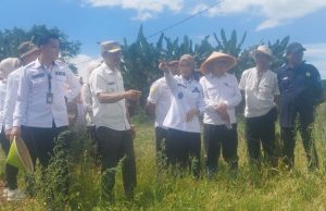 Targetkan Pembangunan Irigasi Terlaksana, Wabup: DED Sudah Ada