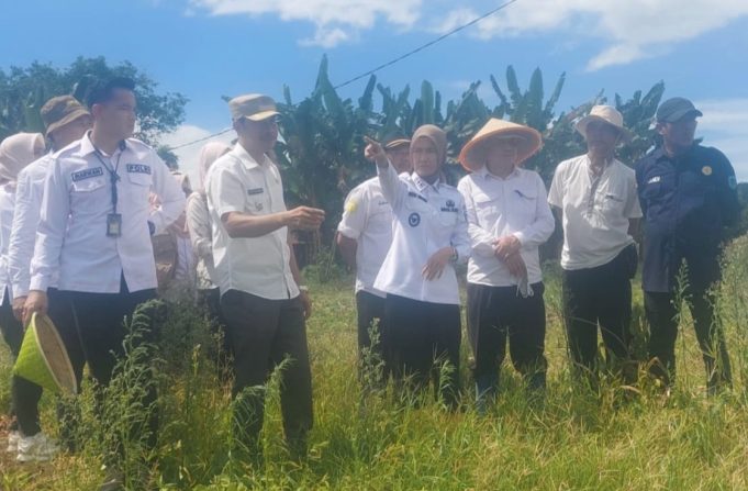 Targetkan Pembangunan Irigasi Terlaksana, Wabup: DED Sudah Ada