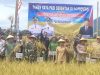 Panen Raya Diareal 70 Hektar, Ini Pesan Wabup Lahat