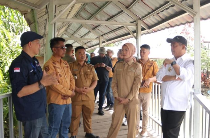 Pemkab Lahat Targetkan Hasilkan 8 Juta Ikan Air Tawar