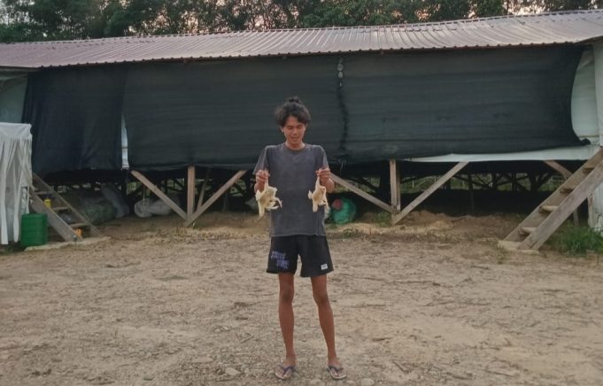 1 Minggu 4 Kali Padam, Warga Masih Keluhkan Layanan PLN Lahat