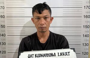 Tanam 23 Batang Ganja, 3 Warga Tanjung Sakti Diringkus, 3 Kilo Ganja Sudah Siap Edar