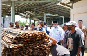 Pemerintah Daerah Harus Jadi Penggerak Ekonomi Hijau