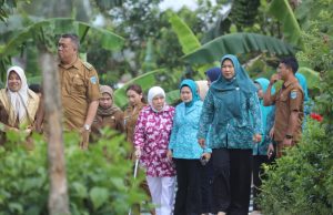 Ajak Kader PKK Kecamatan Kembangkan Potensi Desa