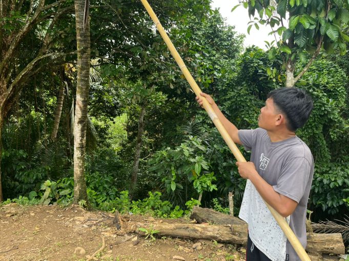 Beruang Mulai Dekati Pemukiman, Warga Desa Padang Lahat dihantui Rasa Was-was