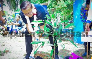 Tanam 800 Bibit Tabebuya