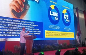 Dukung Indonesia Bersinar, Mentri Desa, Yandri Susanto Ucap, Silakan Pakai Dana Desa