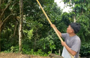 Beruang Mulai Dekati Pemukiman, Warga Desa Padang Lahat dihantui Rasa Was-was