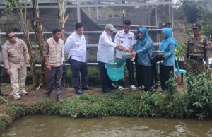 Bupati Lahat Ingin Ketahanan Pangan Tumbuh dari Tingkat Keluarga