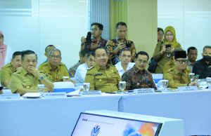 Rakor Nasional Karhutla 2026, Wagub Cik Ujang Dorong Penguatan Sinergi dan Status Siaga Dini di Sumsel