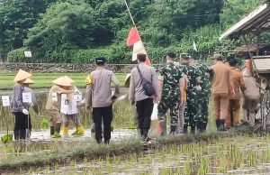 Lawan Ancaman El Nino, Pemkab Lahat Mulai ‘Perang’ di Sawah Tadah Hujan