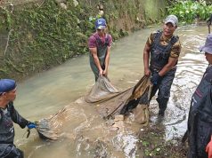 Saat OPD Lain Masih Bahas Rencana, Satgas Prokasi DLH Lahat Sudah Bergerak Lawan Banjir