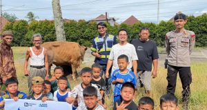 Priamanaya Group Salurkan 42 Sapi Kurban, Warga 32 Desa di Sumsel Rasakan Berkah Idul Adha